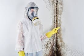 Trusted Center Line, MI Mold Removal Services Experts